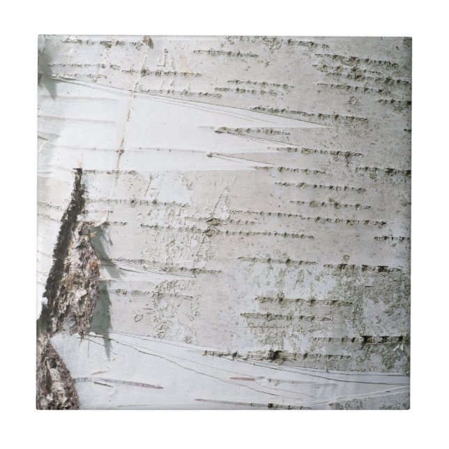 Carreau Écorce de bouleau (Devant)