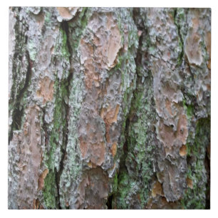 Carreau Écorce de pin