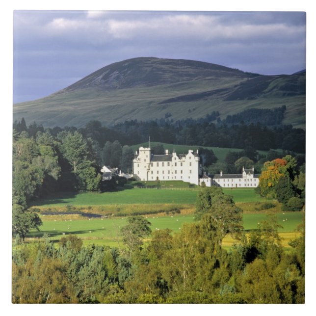 Carreau Écosse, Tayside, château de Blair. Dans un champ é (Devant)