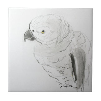 Carreau Écouter De Près Les Perroquets. . .