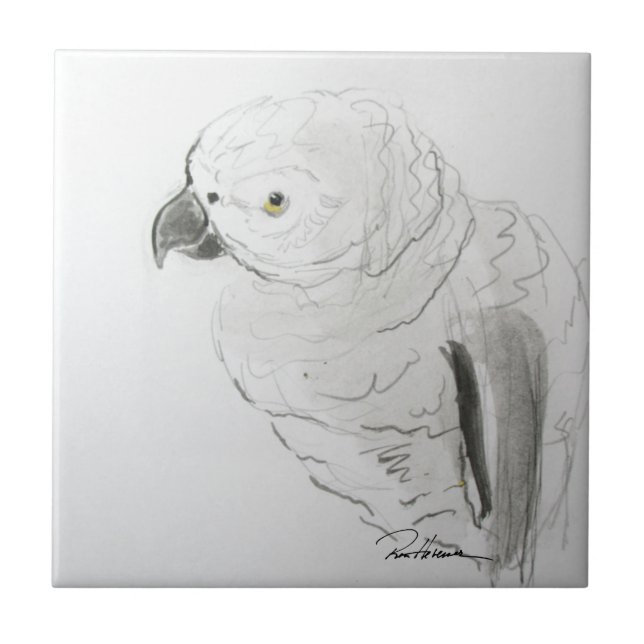 Carreau Écouter De Près Les Perroquets. . . (Devant)