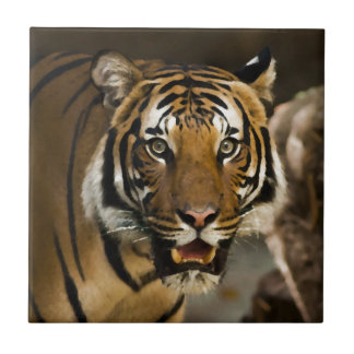 Carreau Effet de peinture à l'aquarelle du tigre de Sibéri