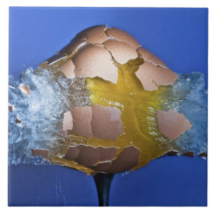 Carreau Eggceptional