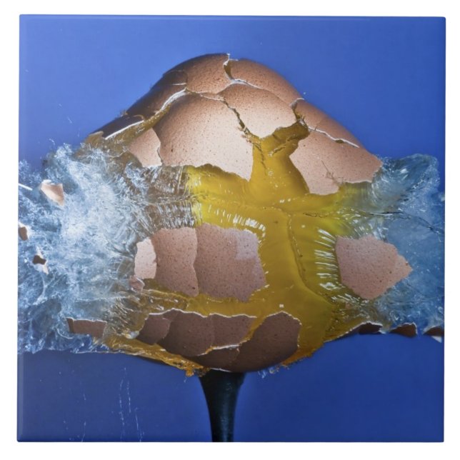 Carreau Eggceptional (Devant)