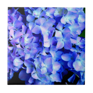 Carreau Élégant bleu violet clair magenta hydrangée floral