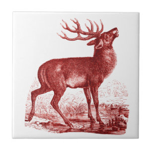 Carreau Elégant Cerf blanc rouge Vintage