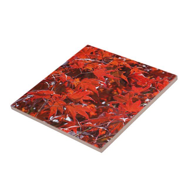 Carreau Élégant Feuille d'érable rouge japonais (Côté)