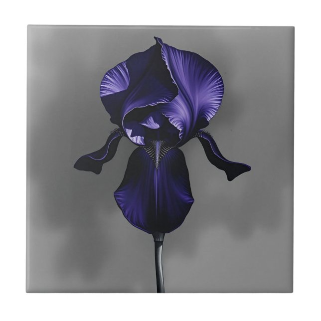 Carreau Elégant Iris Foncé Avec Gris Fumé (Devant)