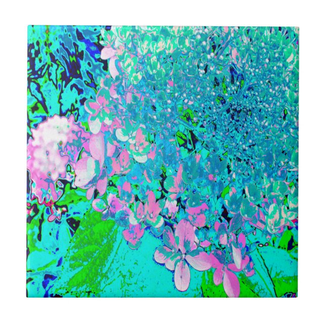Carreau Élégant Limelight rose et bleu Hydrangea (Devant)