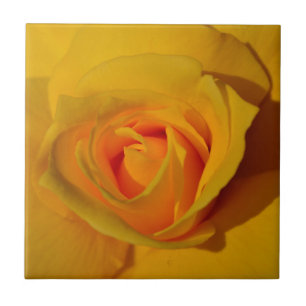 Carreau Élégant rose jaune orange classique