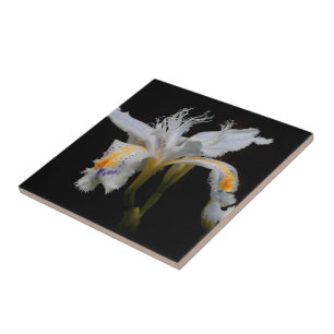 Carreau Elégant Shaga Floral Crested Japonais Iris