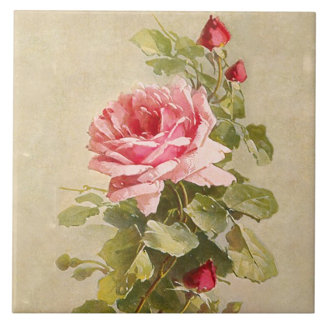 Carreau Elegant Vintage Pink Roses (Devant)