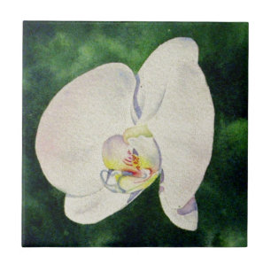 Carreau Elégante peinture à l'aquarelle de l'orchidée blan