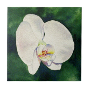 Carreau Elégante peinture à l'aquarelle de l'orchidée blan