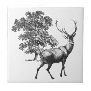 Carreau Elégante Toile de Cerf Blanc Noir Vintage