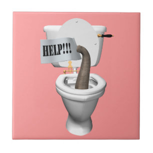 Carreau Eléphant Coincé Dans Les Toilettes