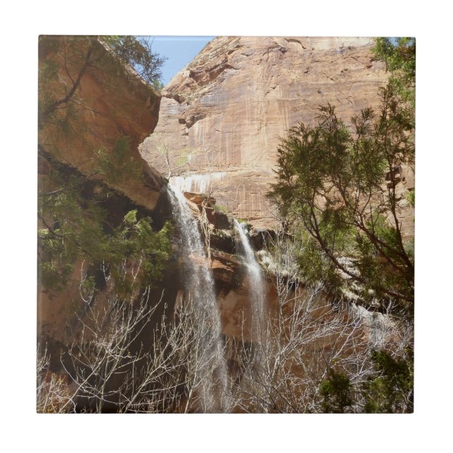 Carreau Emerald Pool Falls I du parc national de Zion (Devant)