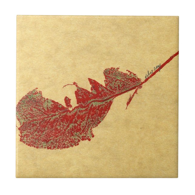 Carreau Empreinte de feuilles naturelles d'un ver mangé fe (Devant)