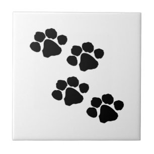 Carreau Empreintes de pattes animaux