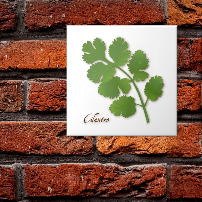 Carreau en céramique à l'herbe de coriandre (Cilantro Herb Ceramic Tile, aromatic leaves with a distinctive flavor. )