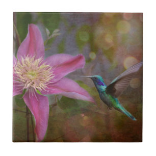 Carreau en céramique Colibri