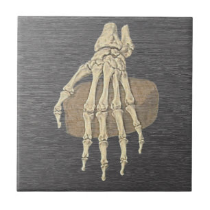 Carreau en céramique d'anatomie - Main de squelett
