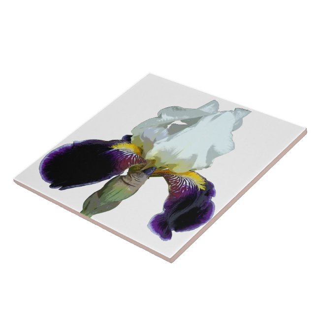 Carreau en céramique d'iris violet et blanc (Côté)