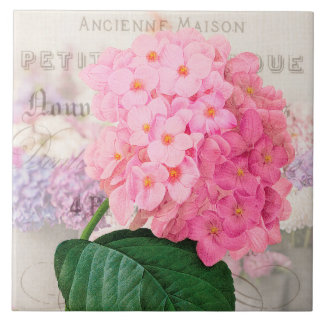 Carreau en céramique Hortensia Rose Redoute Vintag