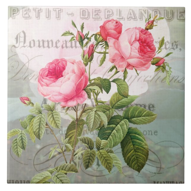 Carreau en céramique Roses roses Redoute (Devant)