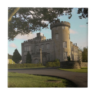 Carreau En Irlande, l'entrée côté château de Dromoland