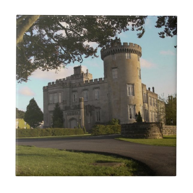 Carreau En Irlande, l'entrée latérale du château de Dromol (Devant)