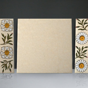 Carreau en terre cuite assorti 2/3 crème beige vin