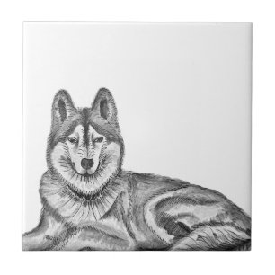 Carreau Encre noire et blanche et aquarelle Husky sibérien