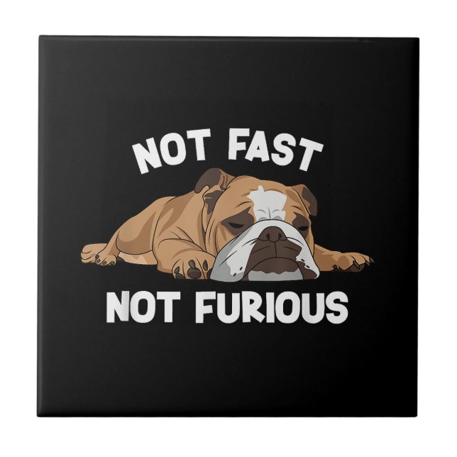 Carreau English Bulldog Sleeping Not Fast Not Furious Funn (Devant)