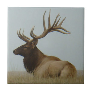 Carreau Énorme taureau E5 Wapiti