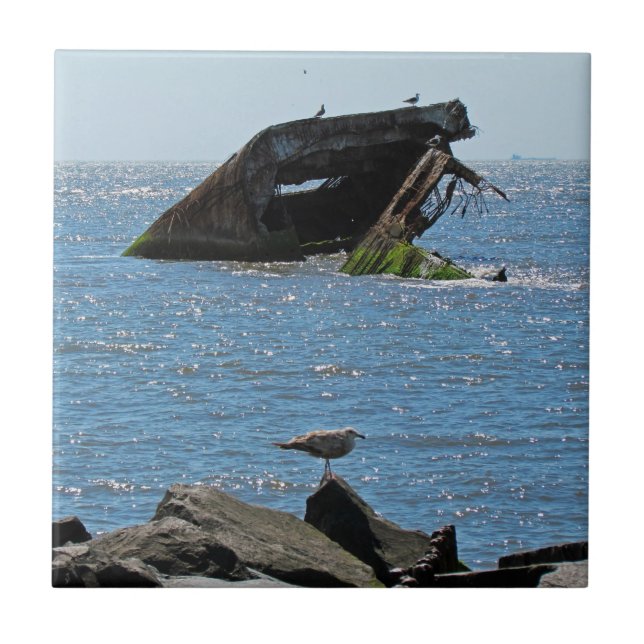 Carreau Épave du cap May (Devant)