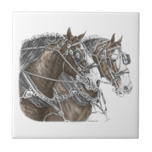 Carreau Équipe cycliste Clydesdale