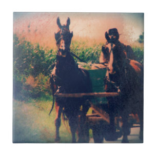 Carreau Équipe d'Amish Horse
