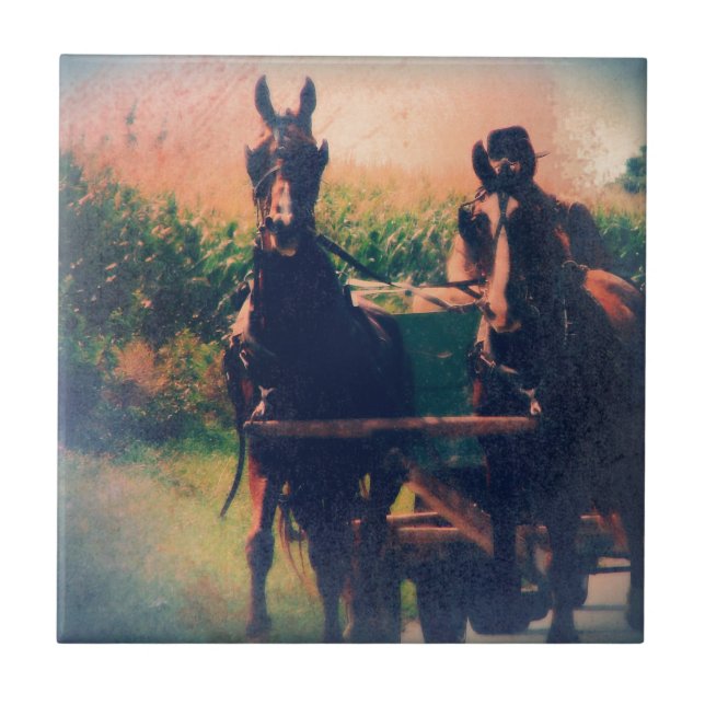 Carreau Équipe d'Amish Horse (Devant)