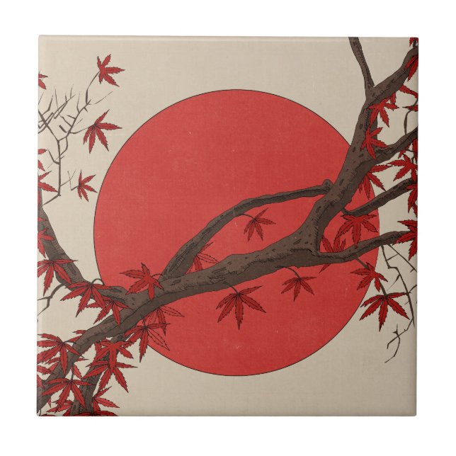 Carreau Érable japonais (Devant)