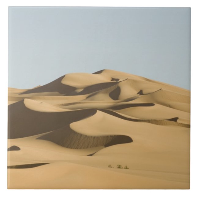 Carreau Erg Awbari, désert du Sahara, Fezzan, Libye. 4 (Devant)