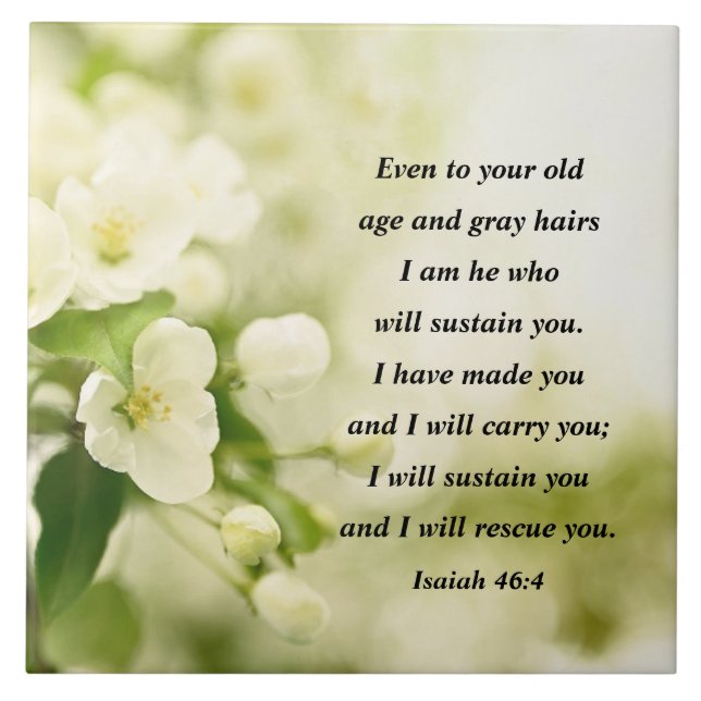Carreau Ésaïe 46:4 Je suis Celui qui vous soutiendra (Devant)