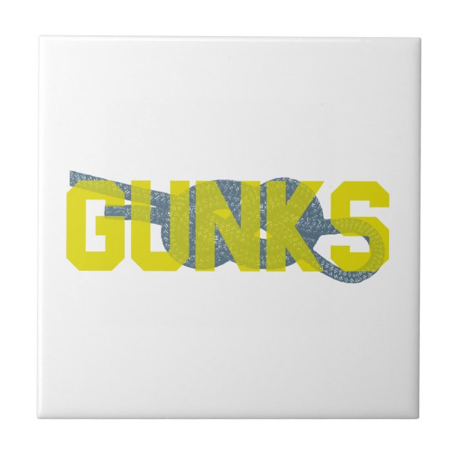 Carreau Escalade Shawagunks (Devant)