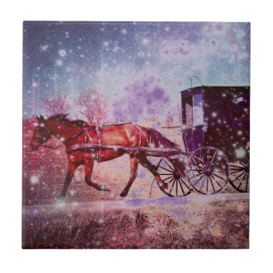 Carreau Espace Amish