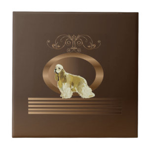 Carreau Espagnol à cocker américain