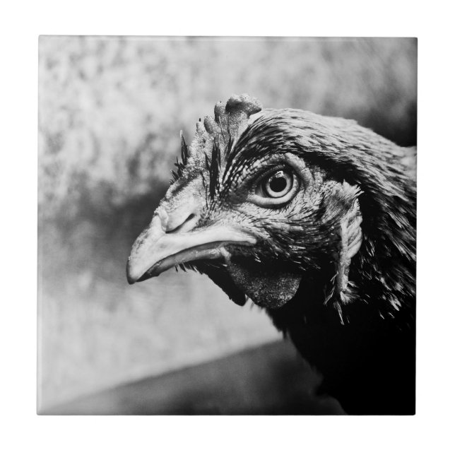 Carreau esprits et poulets (Devant)