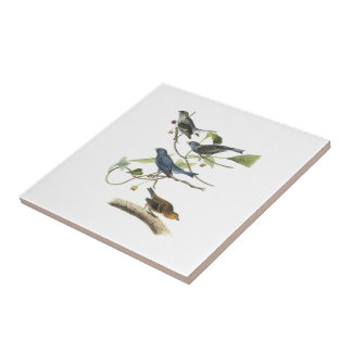 Carreau Étamine d'indigo par Audubon