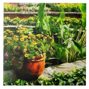 Carreau Étang de jardin