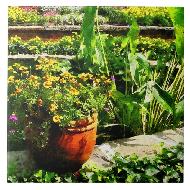 Carreau Étang de jardin (Devant)