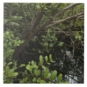 Carreau Étang tropical de sel